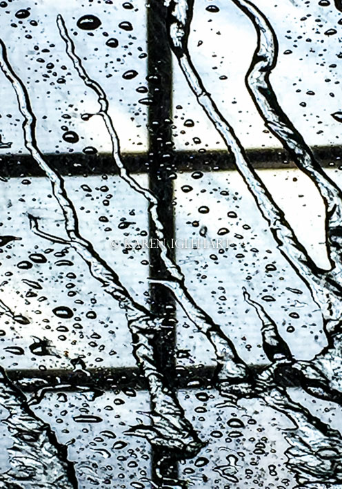 Window